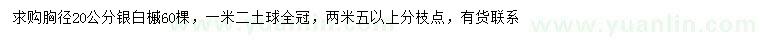 求購胸徑20公分銀白槭