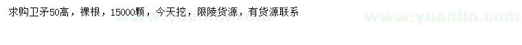 求購高50公分衛(wèi)矛