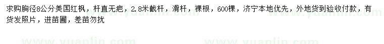 求購胸徑8公分美國紅楓
