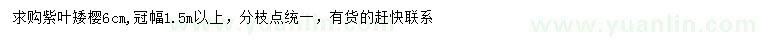 求購(gòu)6公分紫葉矮櫻