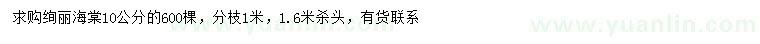 求購10公分絢麗海棠
