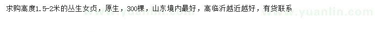 求購高1.5-2米叢生女貞