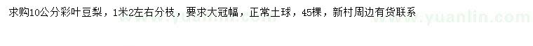 求購0公分彩葉豆梨