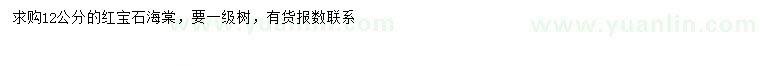 求購(gòu)12公分紅寶石海棠
