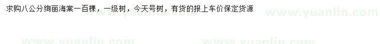 求購8公分絢麗海棠