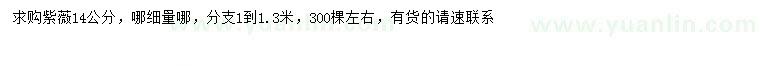 求購14公分紫薇