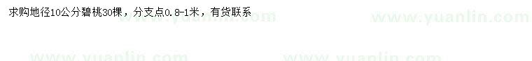 求購(gòu)地徑10公分碧桃