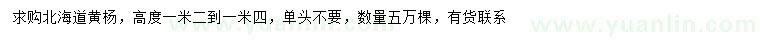 求購高1.2-1.4米北海道黃楊