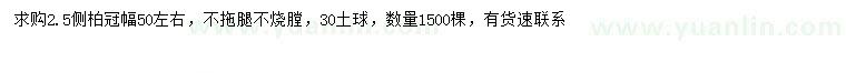 求購冠幅50公分左右側柏