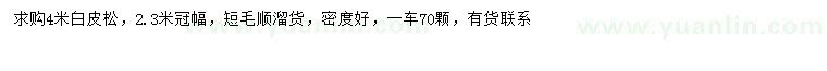 求購(gòu)4米白皮松