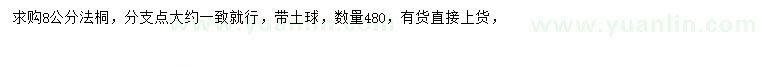 求購(gòu)8公分法桐