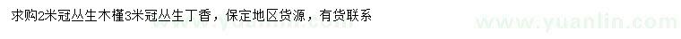 求購(gòu)冠幅2米叢生木槿、冠幅3米叢生丁香