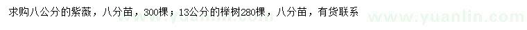 求購(gòu)8公分紫薇、13公分櫸樹(shù)