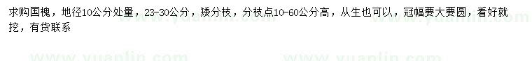 求購10量23-30公分國槐、叢生國槐