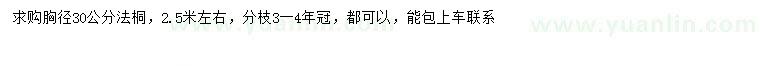 求購胸徑30公分法桐