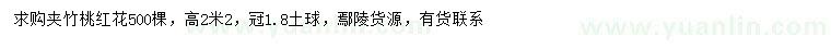 求購高2.2米夾竹桃