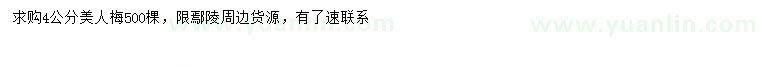 求購4公分美人梅