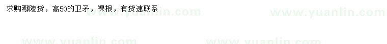 求購(gòu)高50公分衛(wèi)矛