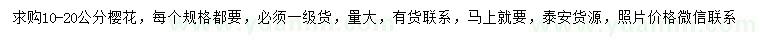 求購10-20公分櫻花