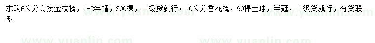 求購6公分高接金枝槐、10公分香花槐