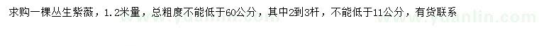 求購1.2量60公分以上叢生紫薇