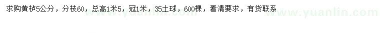 求購5公分黃櫨