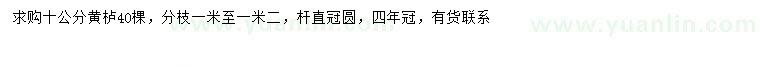 求購10公分黃櫨