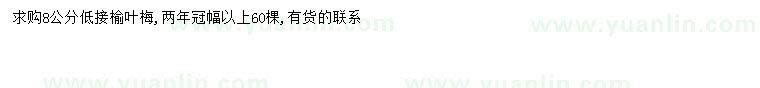 求購(gòu)8公分榆葉梅
