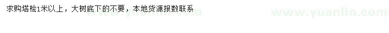 求購1米以上塔檜