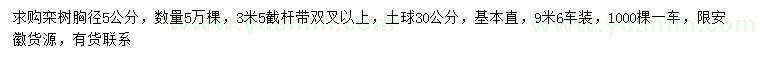 求購胸徑5公分欒樹