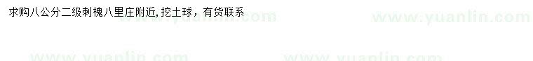 求購(gòu)8公分刺槐