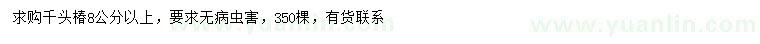 求購8公分以上千頭椿