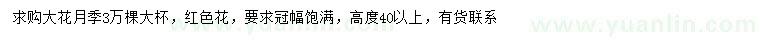 求購(gòu)高40公分以上大花月季