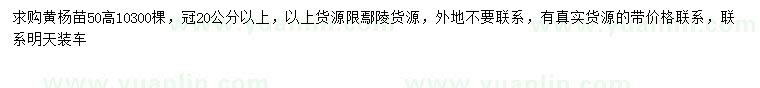 求購高50公分黃楊