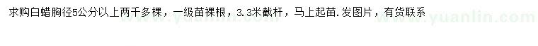求購胸徑5公分以上白蠟