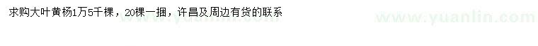 求購(gòu)大葉黃楊