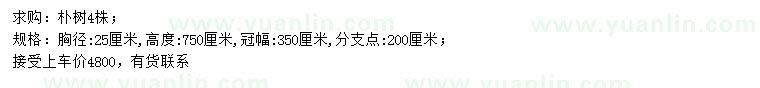 求購胸徑25公分樸樹