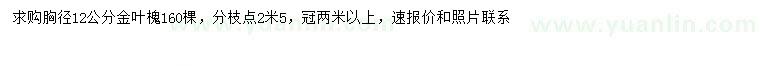 求購(gòu)胸徑12公分金葉槐