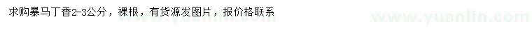 求購2-3公分暴馬丁香