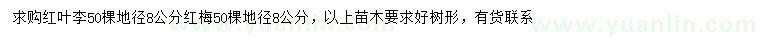 求購地徑8公分紅葉李、紅梅