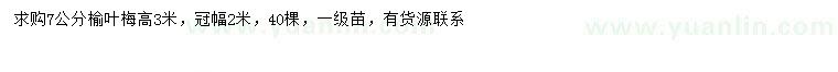 求購(gòu)7公分榆葉梅