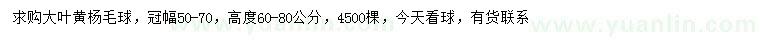 求購冠幅50-70公分大葉黃楊球
