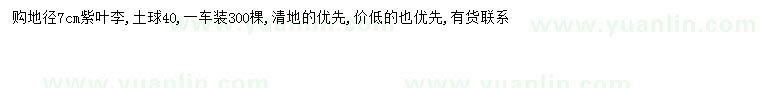 求購地徑7公分紫葉李