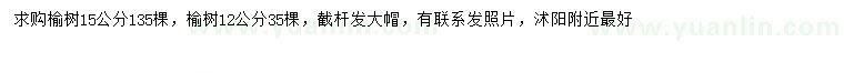 求購12、15公分榆樹