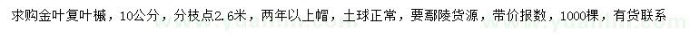 求購(gòu)10公分金葉復(fù)葉槭