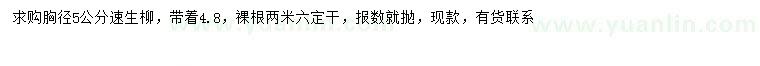 求購胸徑5公分速生柳