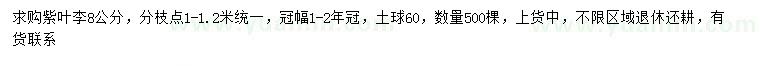 求購8公分紫葉李