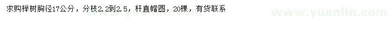 求購(gòu)胸徑17公分櫸樹(shù)