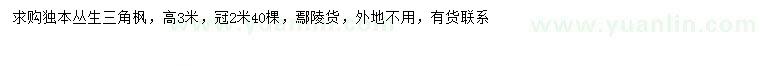 求購(gòu)冠幅2米叢生三角楓