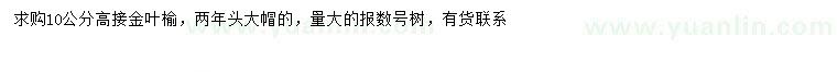 求購10公分高接金葉榆
